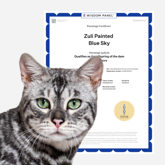 DNA Profile and Parentage Upgrade for Feline