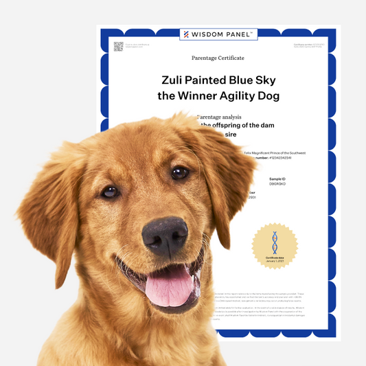 DNA Profile and Parentage Upgrade for Canine