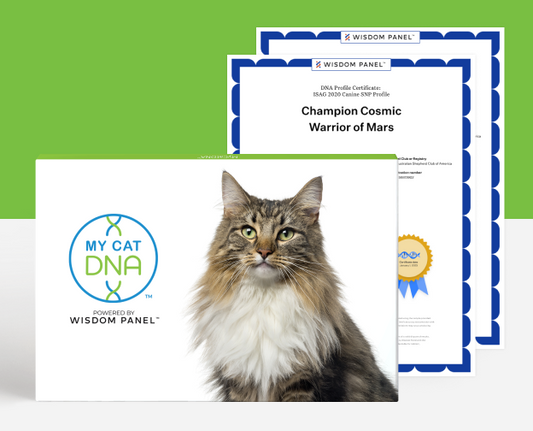 MyCatDNA Advanced