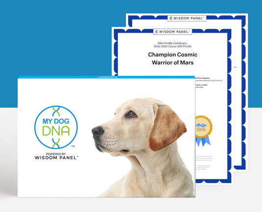MyDogDNA Advanced